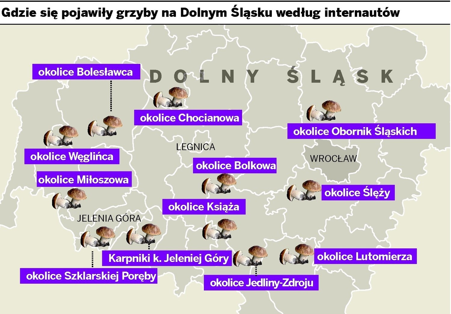 ogłoszenia