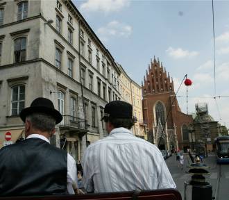 Tramwaj zderzył się z dorożką. Obrońcy zwierząt oczekują od urzędu wyjaśnień