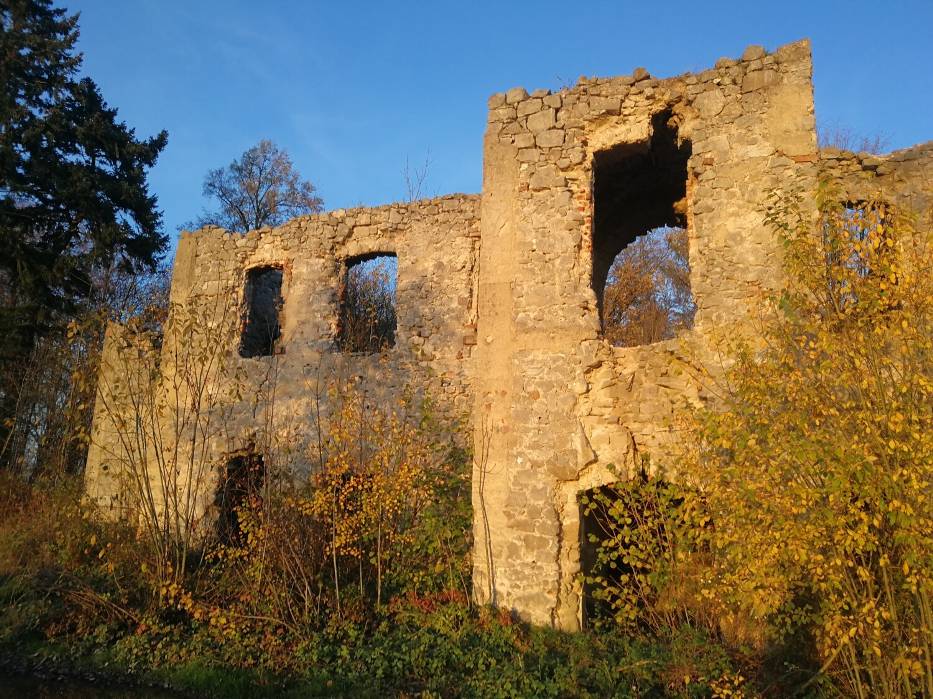 Ruiny pałacu w Gościszowie