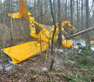 Samolot spadł do pobliskiego lasu