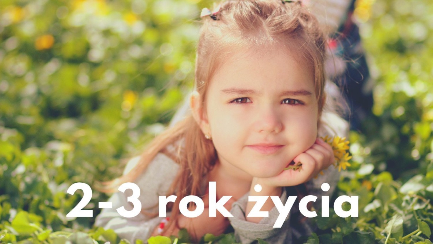 2-3 rok życia