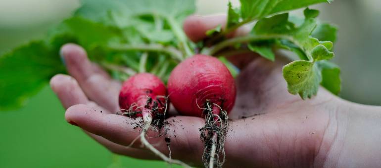 Zdjęcie artykułu z dnia 23-04-2026