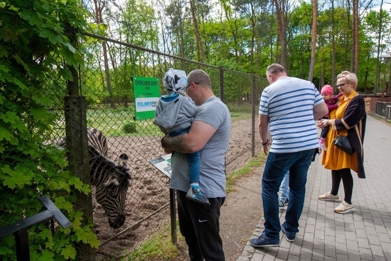 Bydgoskie zoo w Myślęcinku już otworzyło się na zwiedzających