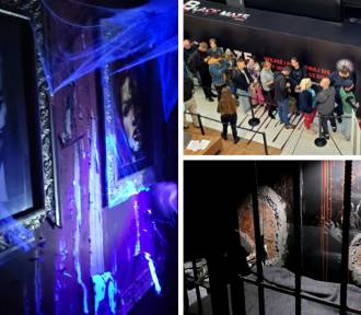 W Warszawie otwarto 50-metrowy labirynt strachu. Bezpłatna atrakcja przyciąga tłumy