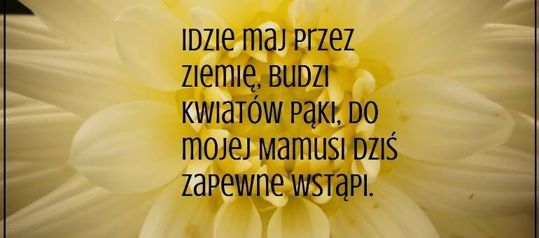 Zdjęcie artykułu z dnia 26-05-2026