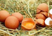 To dzieje się z organizmem, gdy jemy jajka. Dlaczego warto je włączyć do diety? 