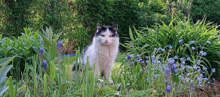 Zdjęcie artykułu z dnia 11-03-2026