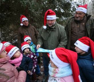 Marszałek Piotr Całbecki wybrał świąteczną choinkę. Pomogły dzieci z gminy Unisław