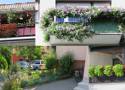 Balkony i ogródki w mieście, które robią wrażenie! Ładne? [FOTO]