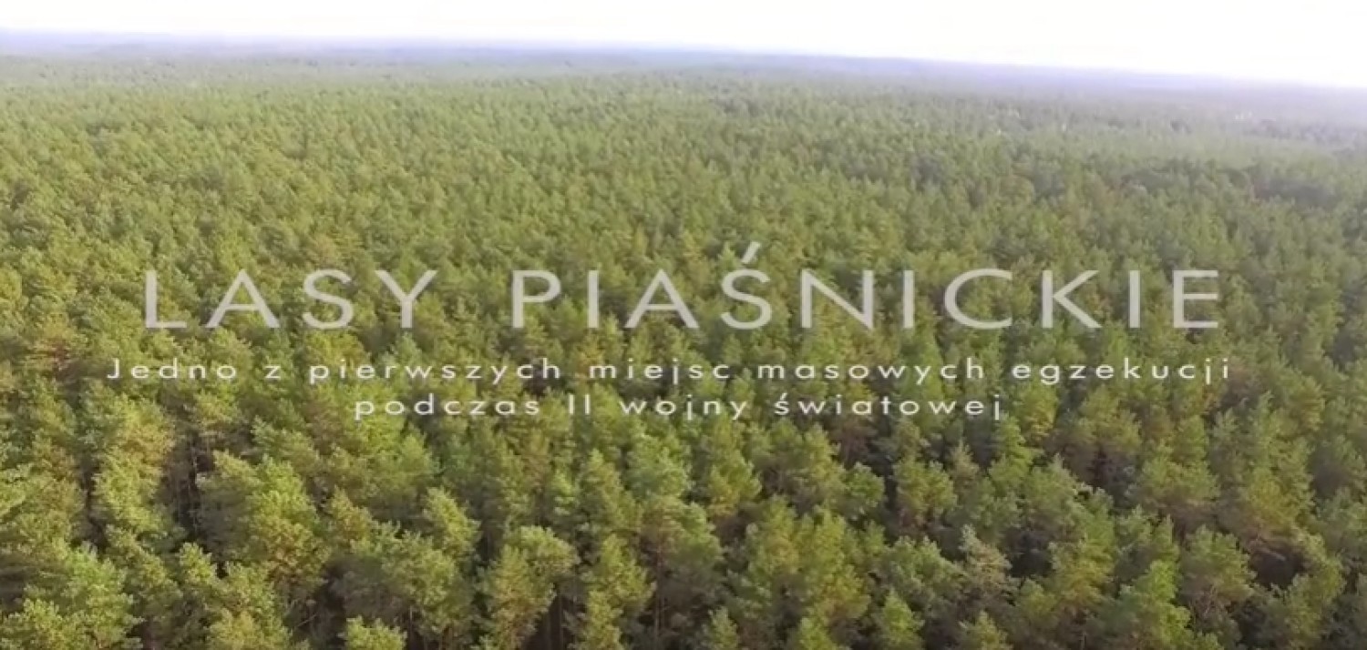 Lasy Piaśnickie z lotu ptaka