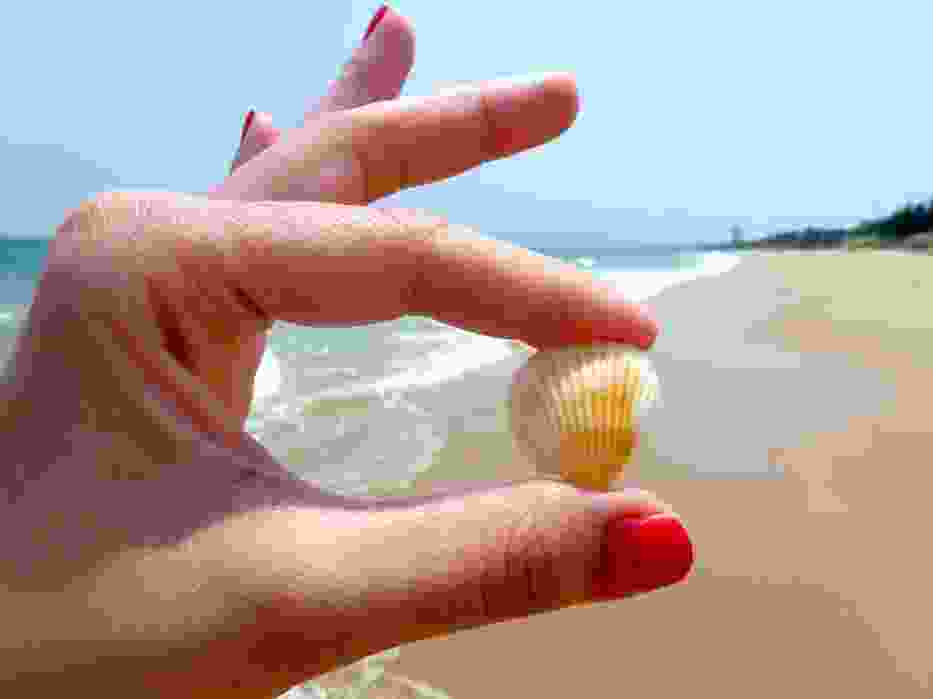 Projekt Plaża ponownie zagości w Olsztynie