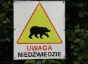 W Bieszczadach został odłowiony i wywieziony jeden z niedźwiedzi, który niepokoił mieszkańców na terenie gminy Solina