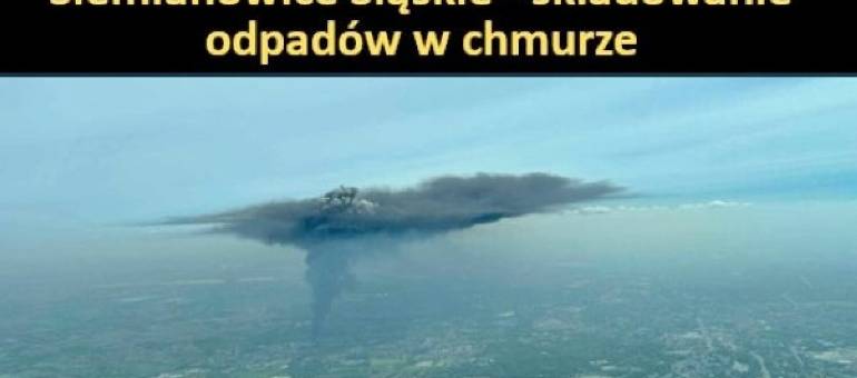 Zdjęcie artykułu z dnia 07-11-2025