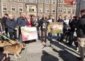 Nowe schronisko dla zwierząt bezdomnych w Wałbrzychu będzie na miarę XXI wieku. Wykonawca poszukiwany!