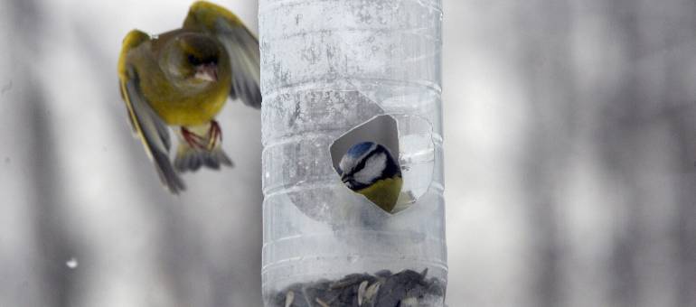 Zdjęcie artykułu z dnia 29-12-2025