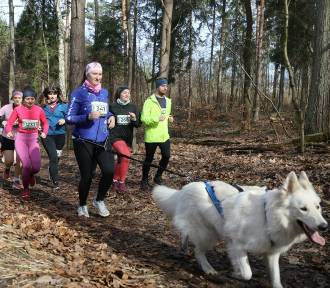 Bieg City Trail w Katowicach. Tłumy biegaczy cieszyły się iście wiosennym słońcem