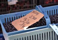 Start sezonu jagodowego 2023 w p. sławieńskim. Ile za litr jagód w Sławnie? Zdjęcia