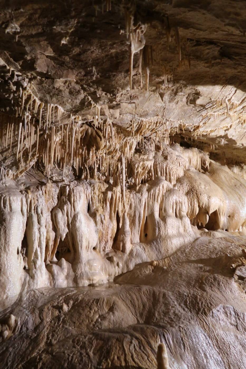 Jaskinia Niedźwiedzia w Kletnie na Dolnym Śląsku wciąż niezbadana. Jak odkryto Salę Mastodonta? Zdjęcia