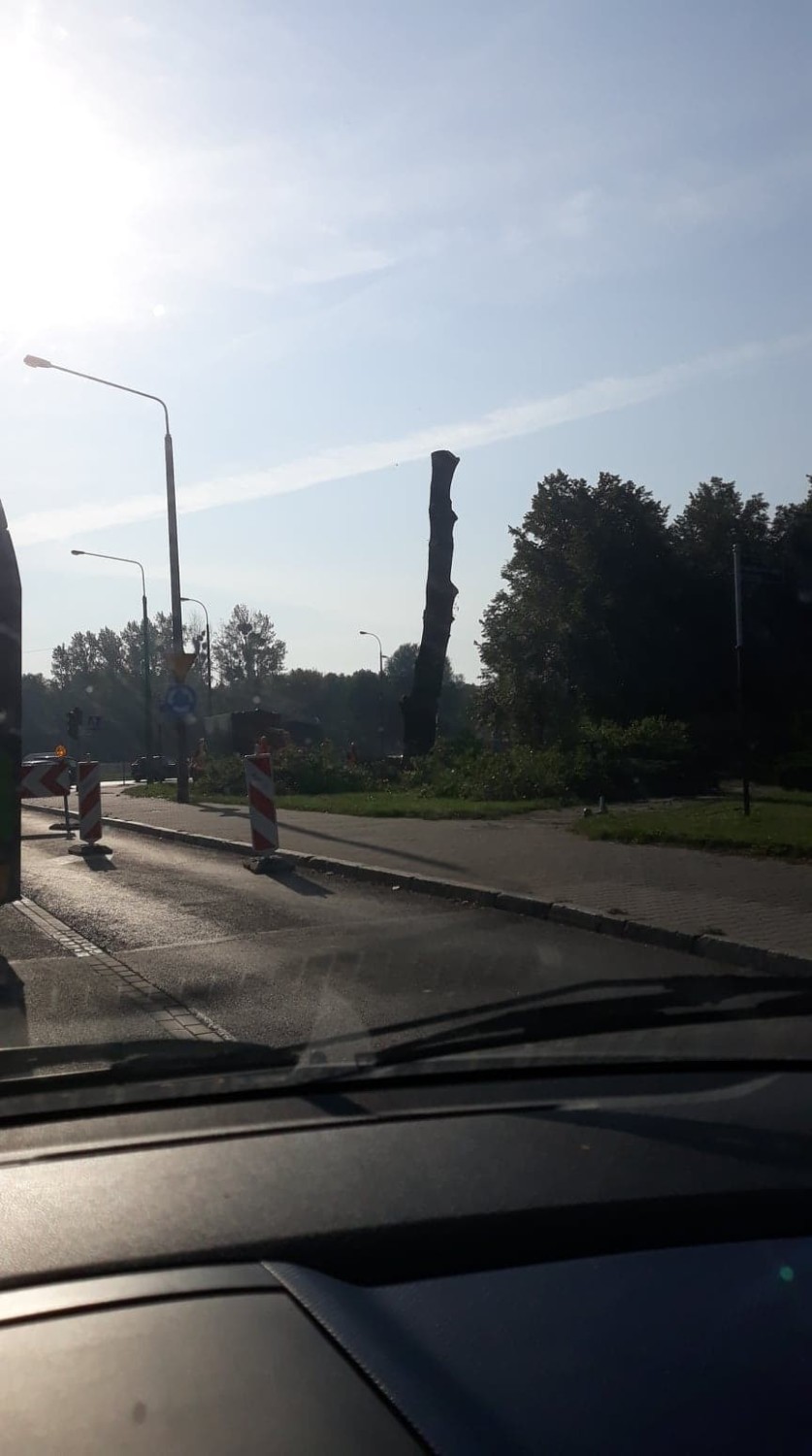 Także inni mieszkańcy Poznania wyrażają swoje zaniepokojenie wycinką drzew w rejonie Ronda Rataje