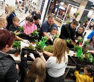 Opolskie centra handlowe Solaris i Karolinka zapraszają do akcji sadzenia drzew