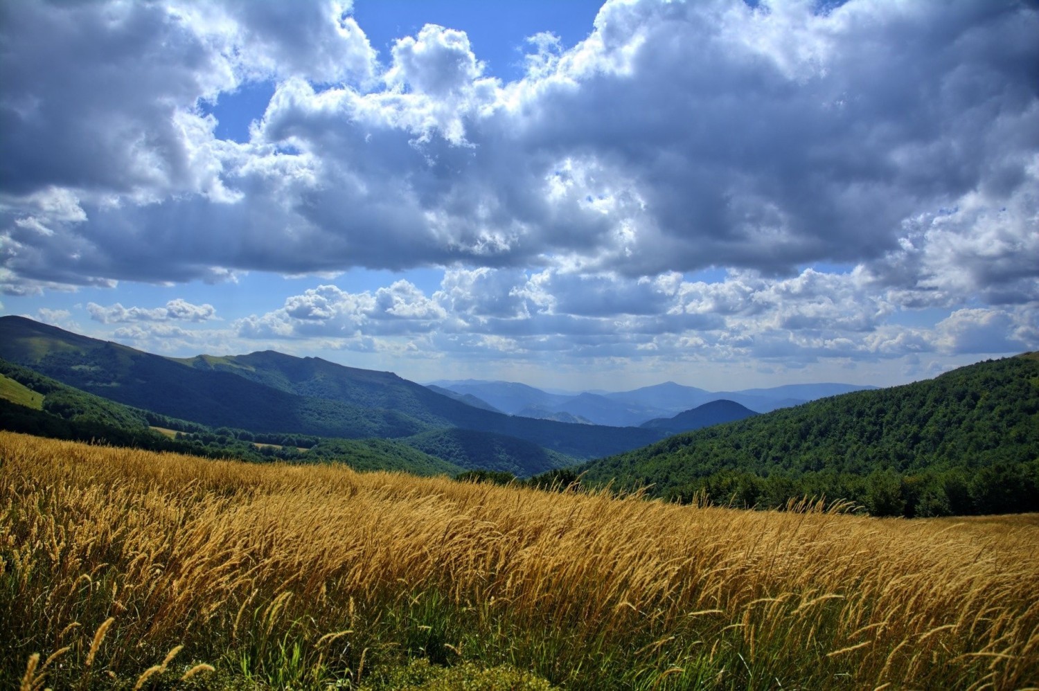 WIELKA PĘTLA BIESZCZADZKAdługość trasy: 160 kmprzebieg trasy: Lesko – Hoczew – Baligród – Cisna – Wetlina – Ustrzyki Górne – Smolnik – Czarna – Ustrzyki Dolne – LeskoWielka Pętla Bieszczadzka to trasa samochodowa w polskiej części Bieszczadów i Gór Sanocko-Turczańskich