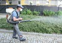 W Toruniu trwają opryski przeciw komarom i meszkom. Zobaczcie, gdzie!