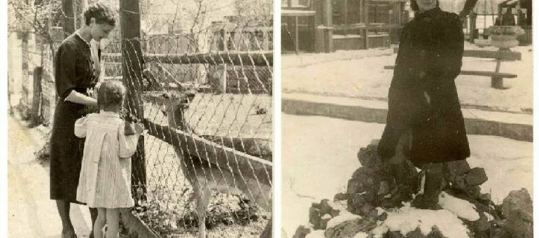 Zdjęcie artykułu z dnia 17-03-2026