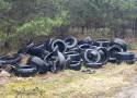 Porzucone odpady w lesie w Otominie. Taki widok zastali leśnicy