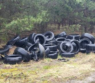 Porzucone odpady w lesie w Otominie. Taki widok zastali leśnicy