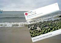 Tajemnicza inwazja na bałtyckiej plaży. Skąd się wzięły zielone kule?