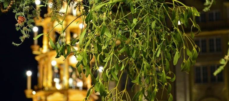 Zdjęcie artykułu z dnia 03-12-2025