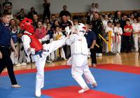 VIII Turniej Karate Kyokushin Silesia Cup 2023 Legnickie Pole, zobaczcie zdjęcia