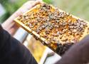 150 lat koła pszczelarskiego w Kościanie