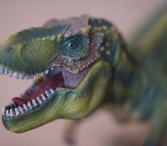 Dzień Dinozaurów w Radomsku, czyli impreza dla dzieci z dinozaurami w roli głównej