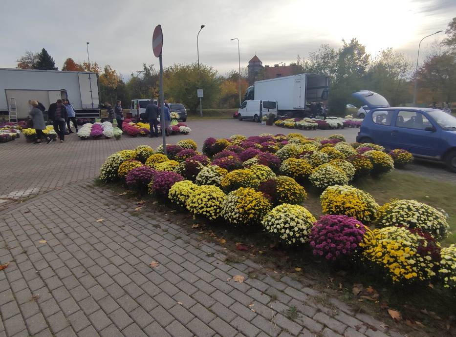 Weekendowe targowisko dla rolników w Wałbrzychu odżywa tylko przed 1 listopada. Wiecie, gdzie go szukać? Zdjęcia