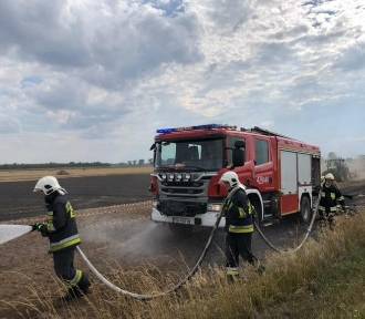 Kolejne pożary pól w powiecie gnieźnieńskim. Interweniowały zastępy OSP i PSP