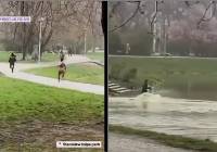 Naga kobieta biegała we wrocławskim parku. Goniła ludzi i wskakiwała do wody [FILM]