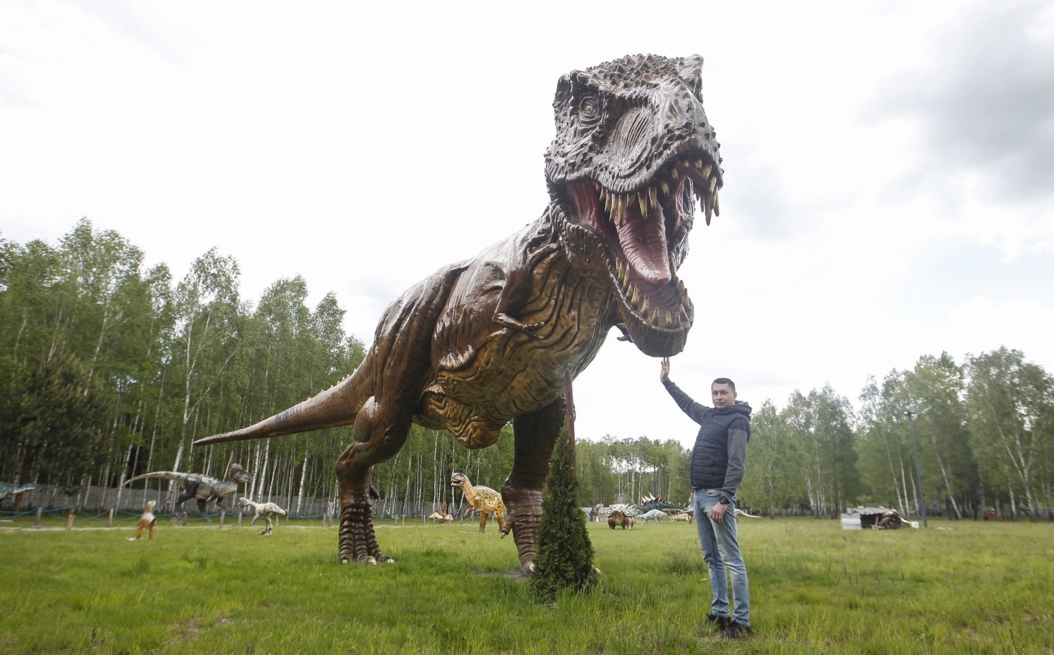 Dinozaury koło Kolbuszowej