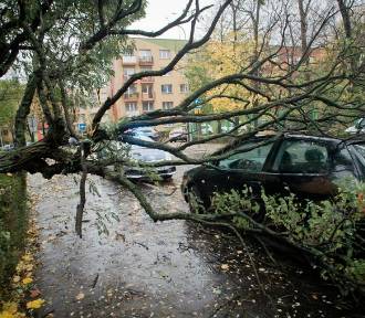 Cyklon Xavi niedługo przybędzie do Polski znad Atlantyku. Przyniesie ulewy i huragany