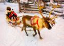 Laponia to nie tylko Rovaniemi i wioska św. Mikołaja! Poznajcie 8 najlepszych atrakcji Laponii, które warto pokazać dzieciom