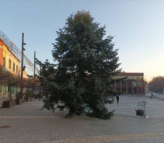 Choinka i Zimowa Kraina staną na rynku w Jaworznie podczas świąt