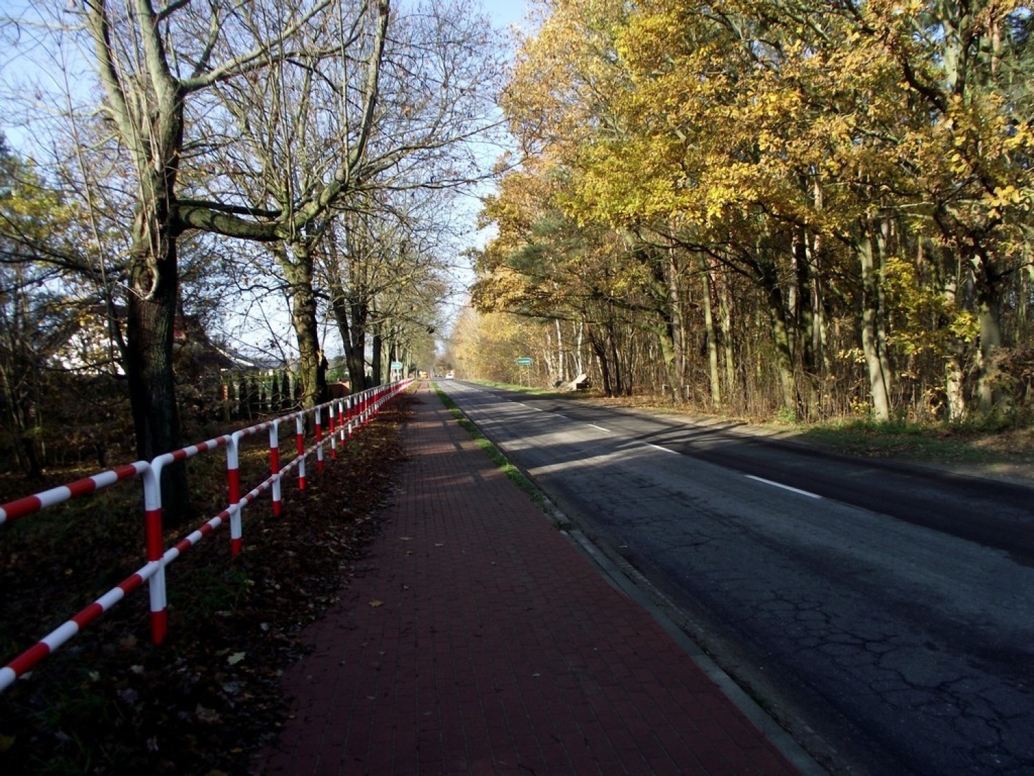 Tu zajdzie zmiana. Ruszyła budowa ściezki rowerowej Zbąszyń - Strzyżewo. Listopad 2019