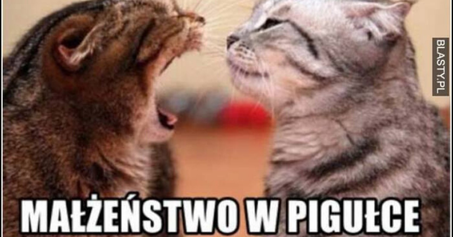 Nie ma to jak małżeństwo? Memy potrafią obedrzeć ze złudzeń każdego, kto tak myśli! Oczywiście, że mąż i żona to idealny duet – zupełnie jak ogień i woda