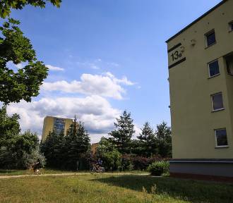 Nie chcą rozbudowy szkoły na poznańskim osiedlu. "Obawy mieszkańców są przesadzone"