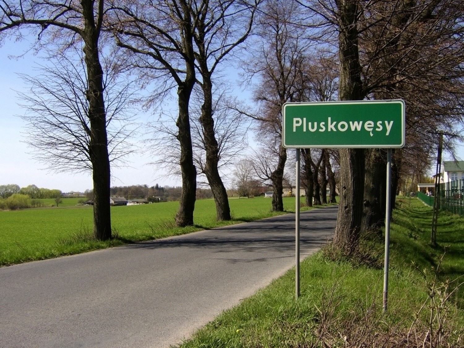 Język polski nie należy do najłatwiejszych i choć najtrudniej jest przyswoić go obcokrajowcom, to i Polakom potrafi sprawić sporo trudności
