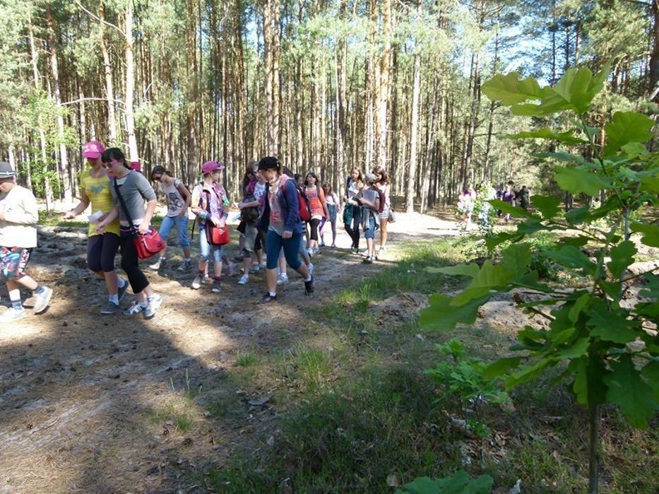Wędrówka, jak podczas ostatniego rajdu, wiedzie po atrakcyjnych przyrodniczo terenach
