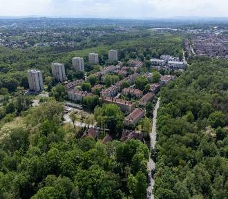 To najbardziej zielone osiedle Krakowa. W samym środku lasu