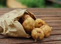 Ile kalorii mają ziemniaki? Ziemniaki tuczą i są niezdrowe? Jakie są skutki jedzenia ziemniaków. Ziemniaki tuczą i są niezdrowe? 16.05.2024