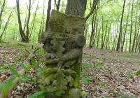 Pozostałości poniemieckiego cmentarza ukryte w lesie gminy Sławno. Zdjęcia