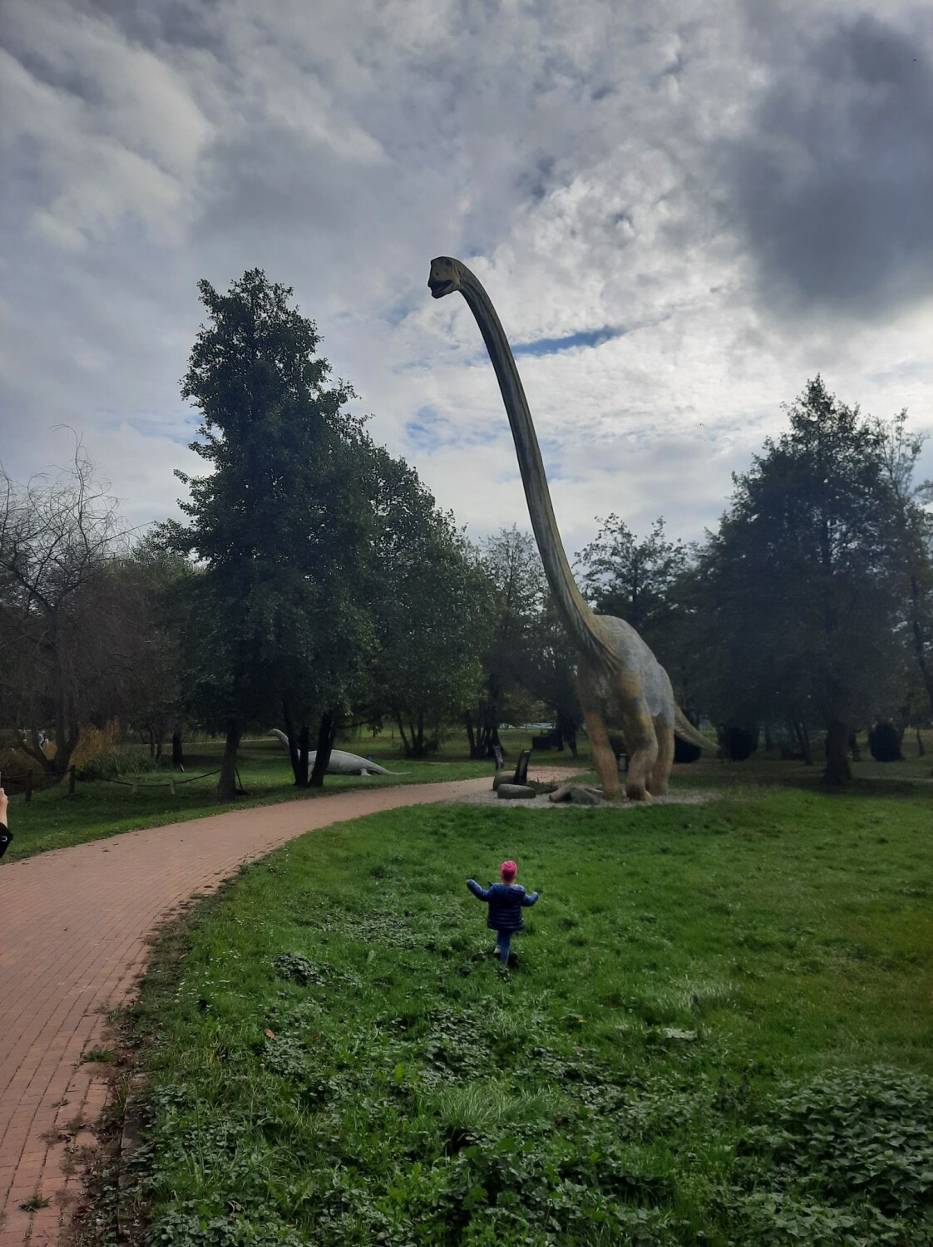 Weekendowy wypad wśród dinozaurów. Park Zaurolandia w Rogowie koło Żnina to ciekawa opcja na rodzinną wycieczkę [zdjęcia]